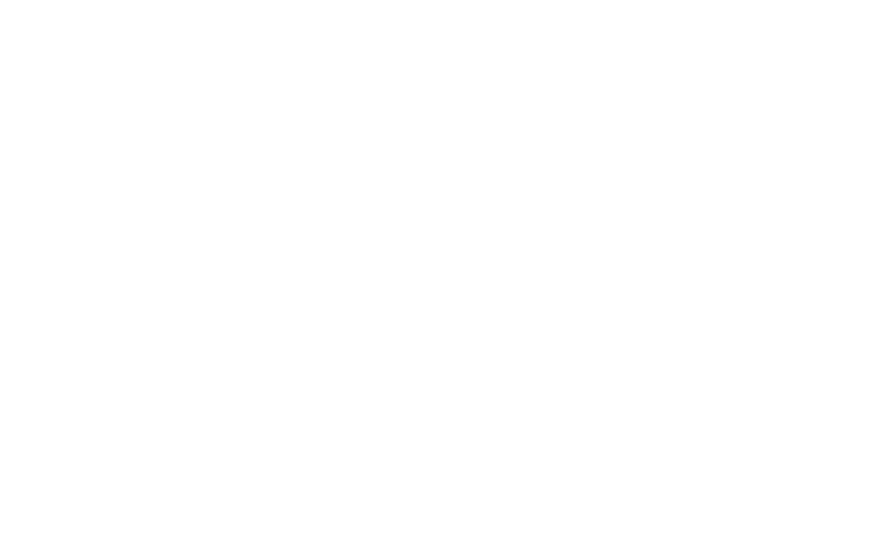 B. Braun